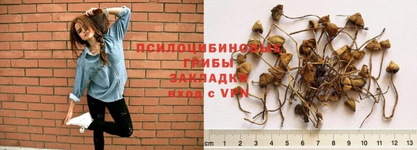 соль ск Майский