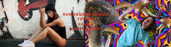 mdpv Магадан
