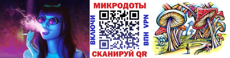 Галлюциногенные грибы Psilocybine cubensis как найти Рязань