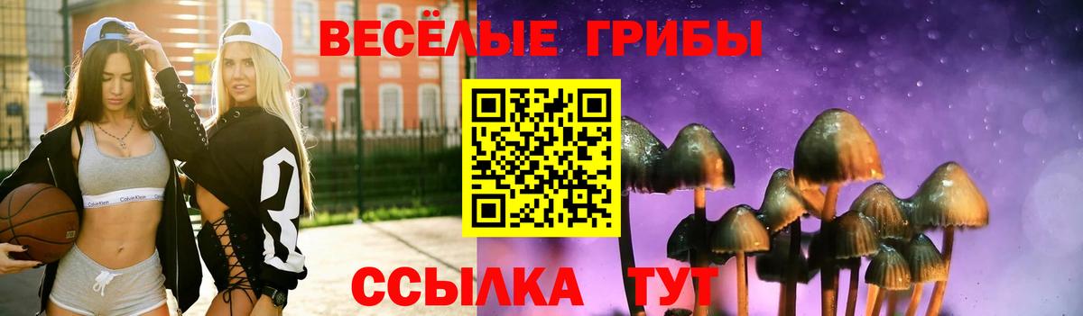 Псилоцибиновые грибы Psilocybe Рязань