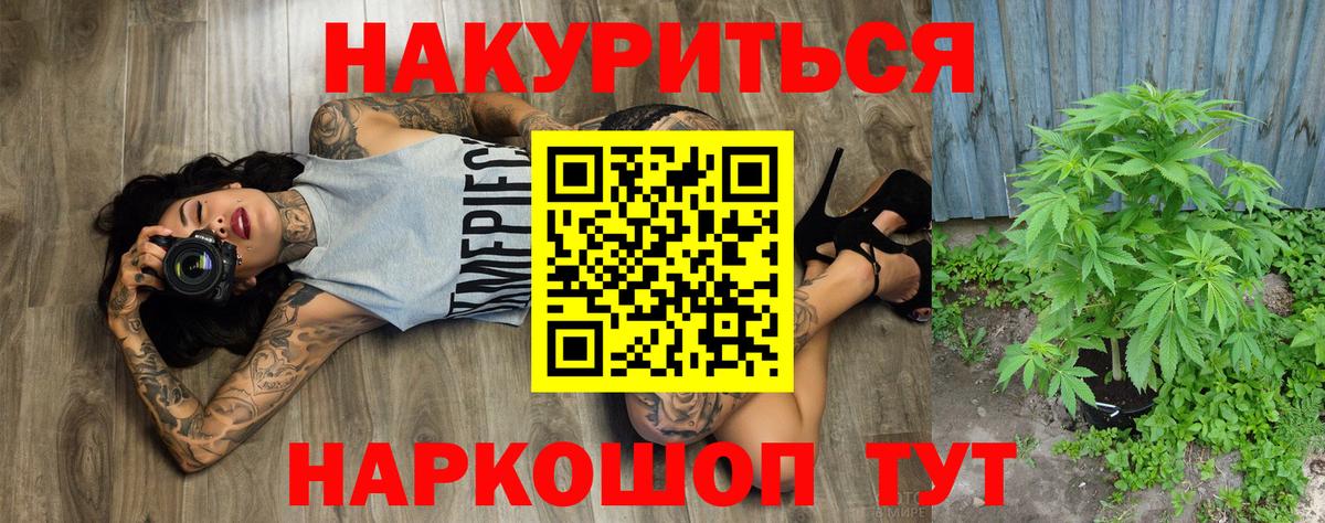 Каннабис сатива Рязань